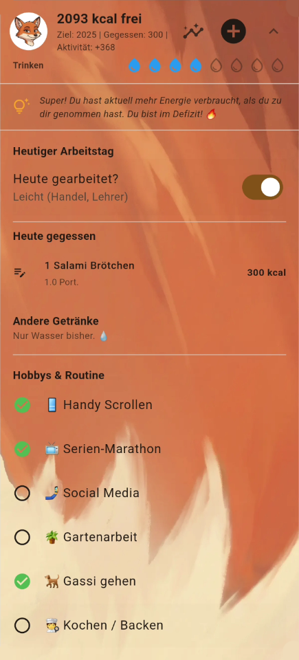 Das Dashboard: Dein täglicher Kompass